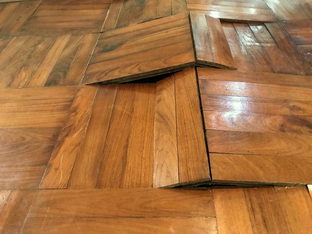 flooring repair, damaged floor